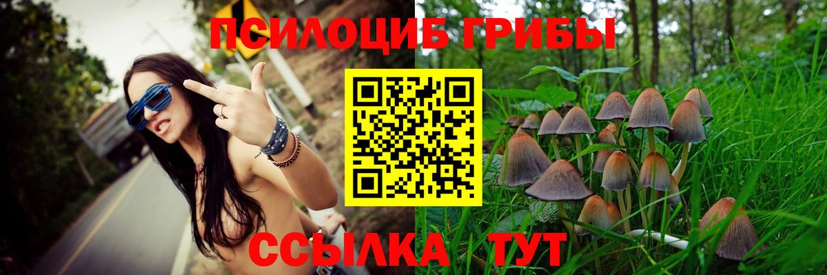 Псилоцибиновые грибы Psilocybine cubensis  Вход с VPN  что такое наркотик  Котлас  Галлюциногенные грибы Cubensis 
