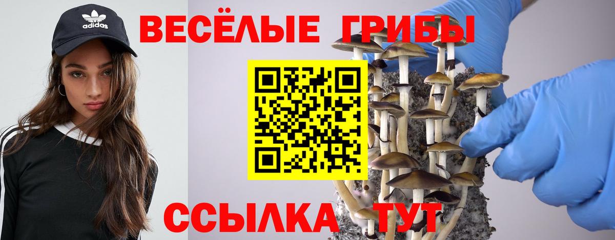 Псилоцибиновые грибы мухоморы Котлас